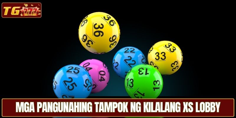 Mga pangunahing tampok ng kilalang XS lobby 
